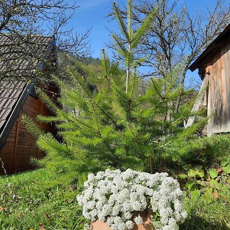 Vila Vikendica Neven Zaovine Exteriér fotografie