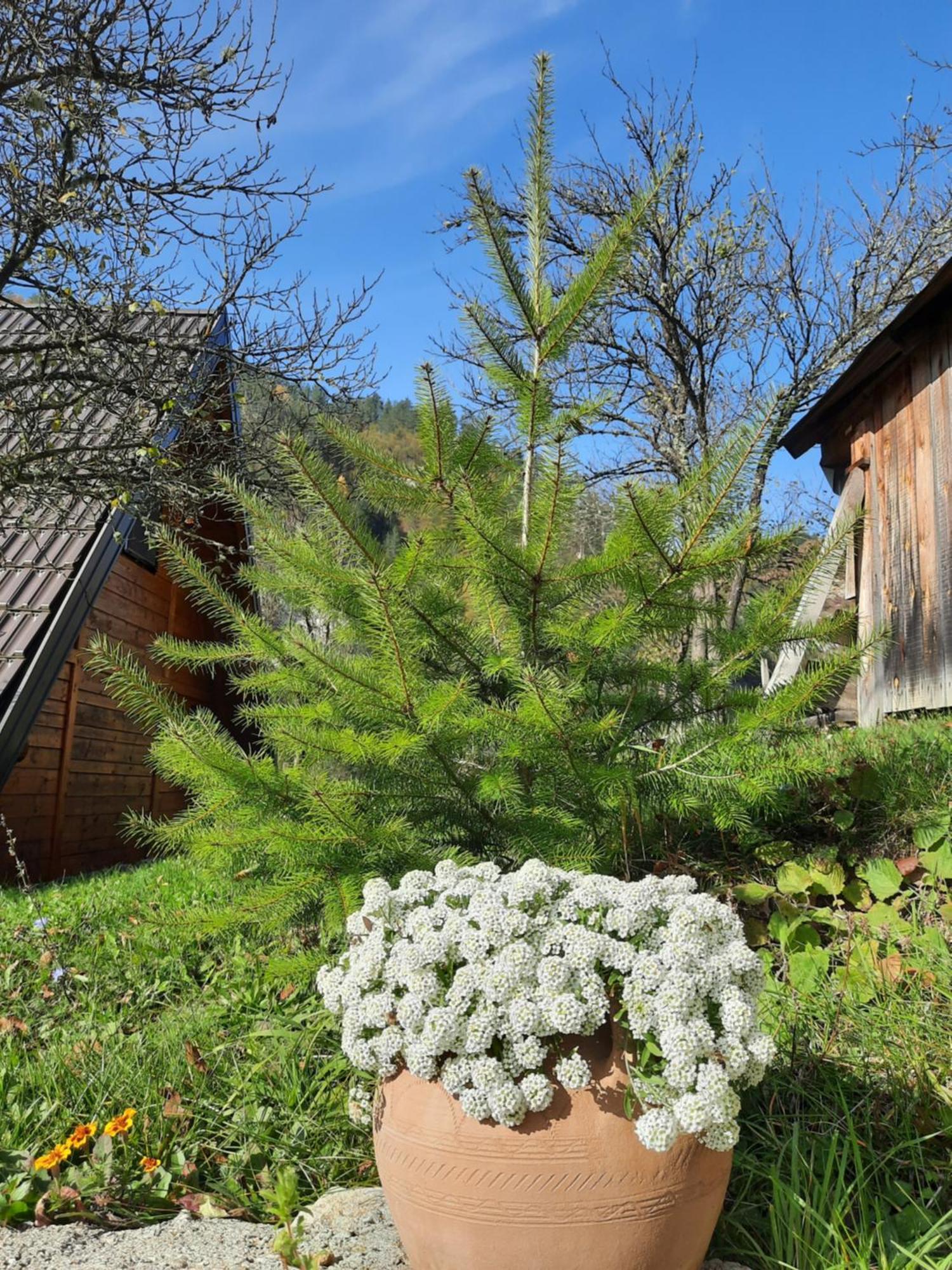 Vila Vikendica Neven Zaovine Exteriér fotografie