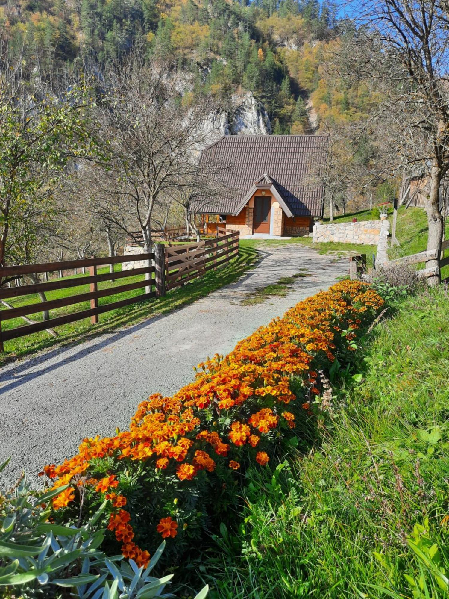 Vila Vikendica Neven Zaovine Exteriér fotografie